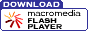 FlashPlayer